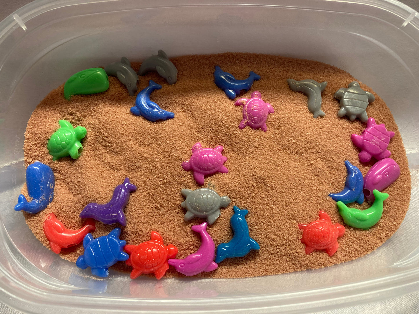 Kit animales Del Mar en la arena
